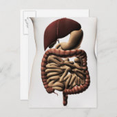 Het spijsverteringsstelsel 5 briefkaart (Voorkant / Achterkant)