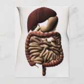 Het spijsverteringsstelsel 5 briefkaart (Voorkant)