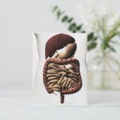 Het spijsverteringsstelsel 5 briefkaart (Staand voorkant)