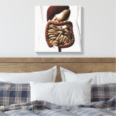 Het spijsverteringsstelsel 5 canvas afdruk (Insitu (Slaapkamer))