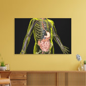 Het spijsverteringsstelsel canvas afdruk (Insitu (Woonkamer))