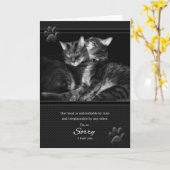 Het spijt me, alsjeblieft, vergeef me Tabby Cats Kaart (Gele Bloem)