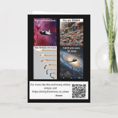 Het spijt me... bananenhuid kaart (Achterkant)