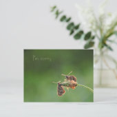 Het spijt me briefkaart (Staand voorkant)