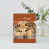 Het spijt me briefkaart (Staand voorkant)