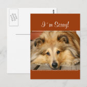 Het spijt me briefkaart (Voorkant / Achterkant)