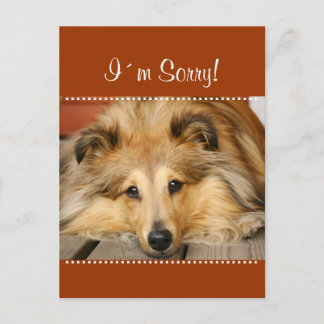 Het spijt me briefkaart