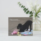 Het spijt me briefkaart, poedel briefkaart, briefk briefkaart (Staand voorkant)