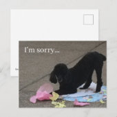 Het spijt me briefkaart, poedel briefkaart, briefk briefkaart (Voorkant / Achterkant)