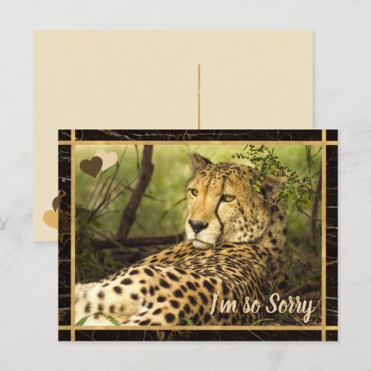 Het spijt me Cheetah Afbeelding Briefkaart (Voorkant / Achterkant)