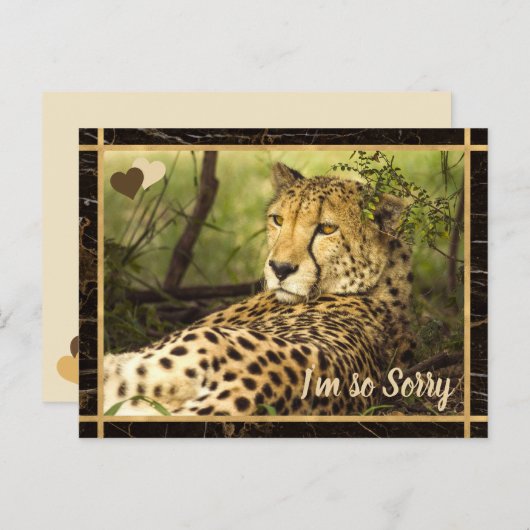Het spijt me Cheetah Afbeelding Briefkaart (Voorkant / Achterkant)