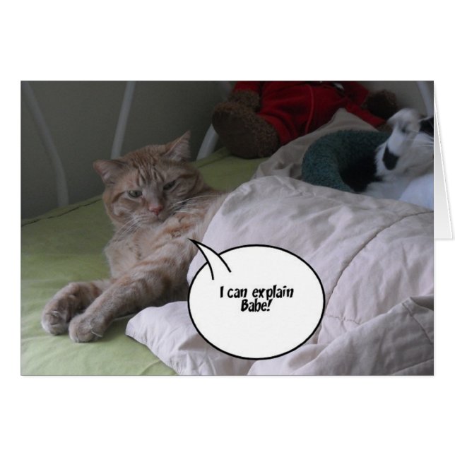 Het spijt me dat ik groet. (Voorkant Horizontaal)