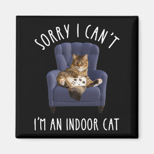 Het spijt me dat ik het niet kan, ik ben een binne magneet