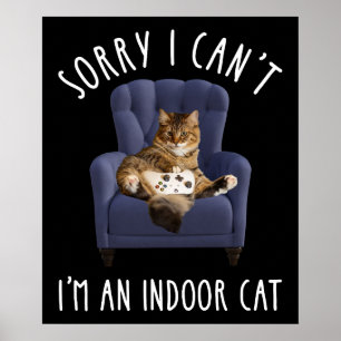 Het spijt me dat ik het niet kan, ik ben een binne poster