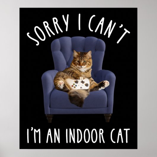 Het spijt me dat ik het niet kan, ik ben een binne poster (Voorkant)