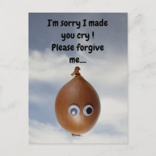 Het spijt me dat ik je heb laten huilen! briefkaar briefkaart