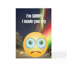Het spijt me dat ik je heb laten huilen.