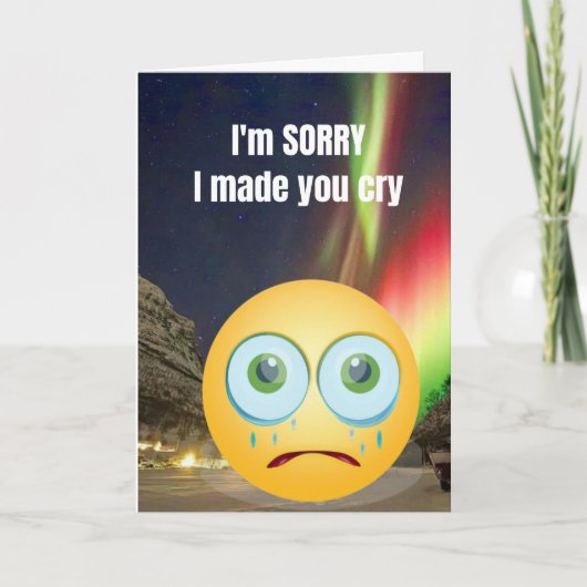 Het spijt me dat ik je heb laten huilen. kaart (Voorkant)