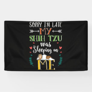 Het spijt me dat ik te laat ben... toen mijn sjiie spandoek