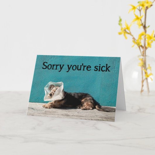 Het spijt me dat je de vun Dog opgepikt hebt. Kaart (Gele Bloem)