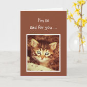 Het spijt me dat je het Kitten Animal aanmoedigt Kaart (Gele Bloem)