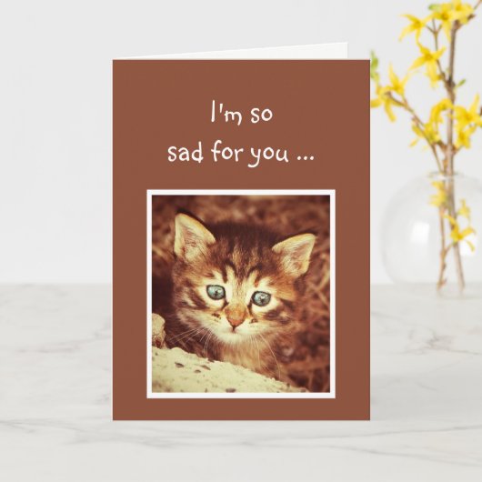 Het spijt me dat je het Kitten Animal aanmoedigt Kaart (Gele Bloem)