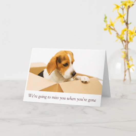 Het spijt me dat je naar de kaart gaat (Gele Bloem)