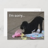 Het spijt me dat Poodle Briefkaart (Voorkant / Achterkant)