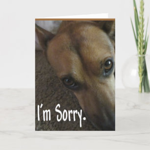 Het spijt me, droevige hond kaart