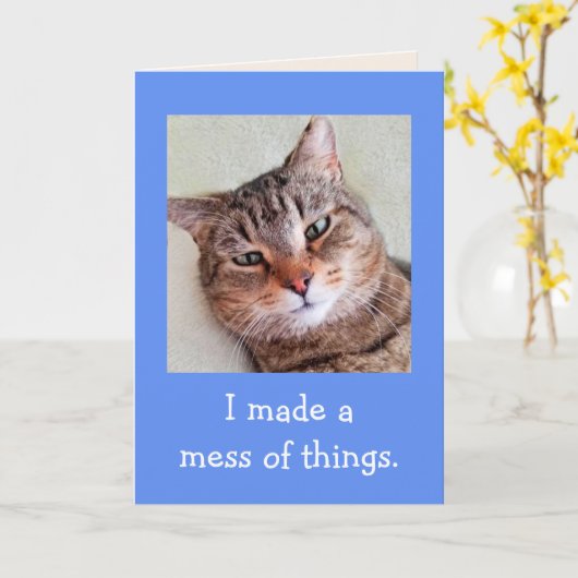 Het spijt me echt dat Cute Cat Apology Kaart (Gele Bloem)