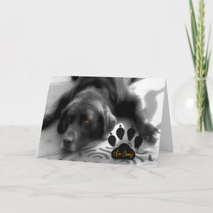 Het spijt me grappige versie met Cute Labrador Dog Kaart