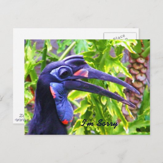 Het spijt me/het spijt me/het Ontbrekende You_Brie Briefkaart (Voorkant / Achterkant)