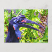 Het spijt me/het spijt me/het Ontbrekende You_Brie Briefkaart (Voorkant)