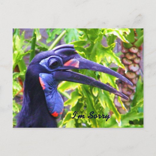 Het spijt me/het spijt me/het Ontbrekende You_Brie Briefkaart (Voorkant)