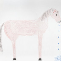 Het spijt me... Horse Spittle-Kaart