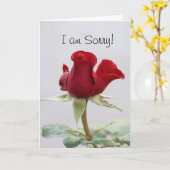 Het spijt me kaart (Gele Bloem)