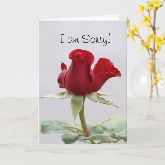 Het spijt me kaart (Gele Bloem)