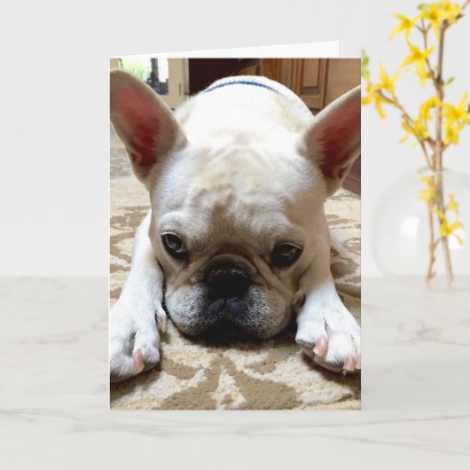 Het spijt me. kaart (Gele Bloem)