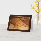 Het spijt me kaart (Gele Bloem)