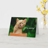 Het spijt me! kaart (Gele Bloem)