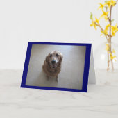 Het spijt me. kaart (Gele Bloem)