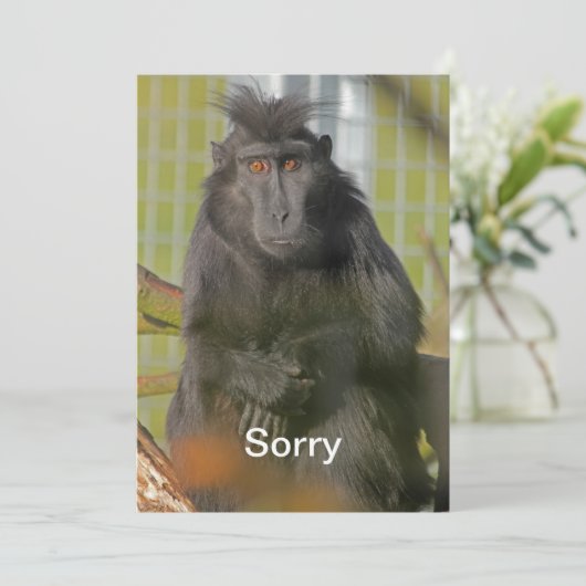 Het spijt me kaart (Staand voorkant)