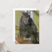 Het spijt me kaart (Voorkant / Achterkant in situ)