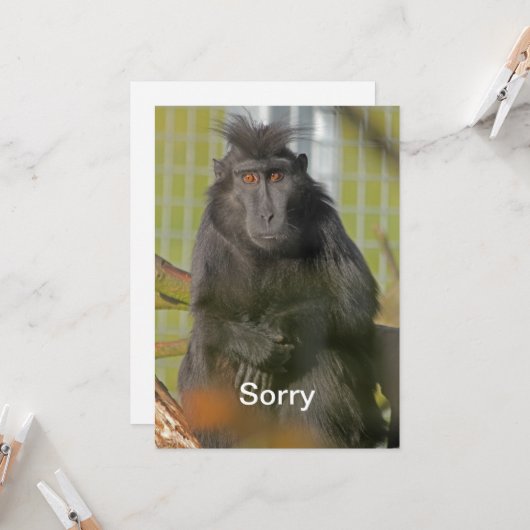 Het spijt me kaart (Voorkant / Achterkant in situ)