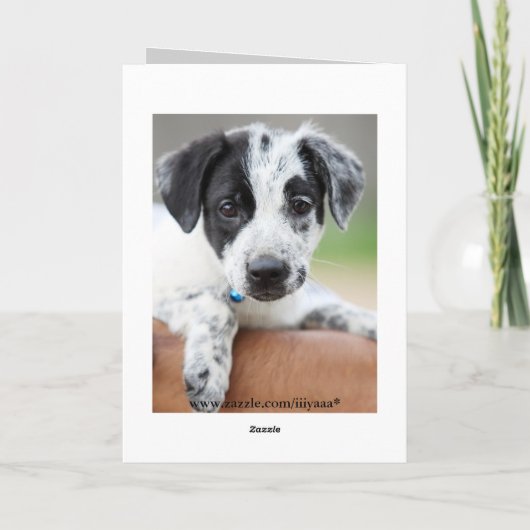 Het spijt me kaart (Achterkant)