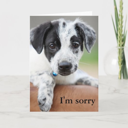 Het spijt me kaart (Voorkant)
