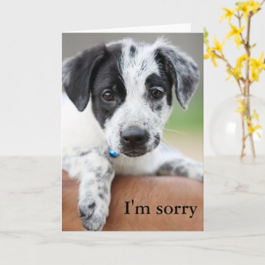 Het spijt me kaart (Gele Bloem)