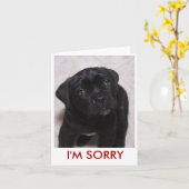 Het spijt me, Kaart (Gele Bloem)