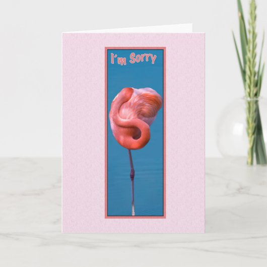 Het spijt me Kaart met Twisted Pink Flamingo (Voorkant)