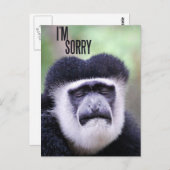 Het spijt me, Monkey Briefkaart (Voorkant / Achterkant)